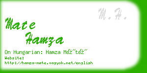 mate hamza business card